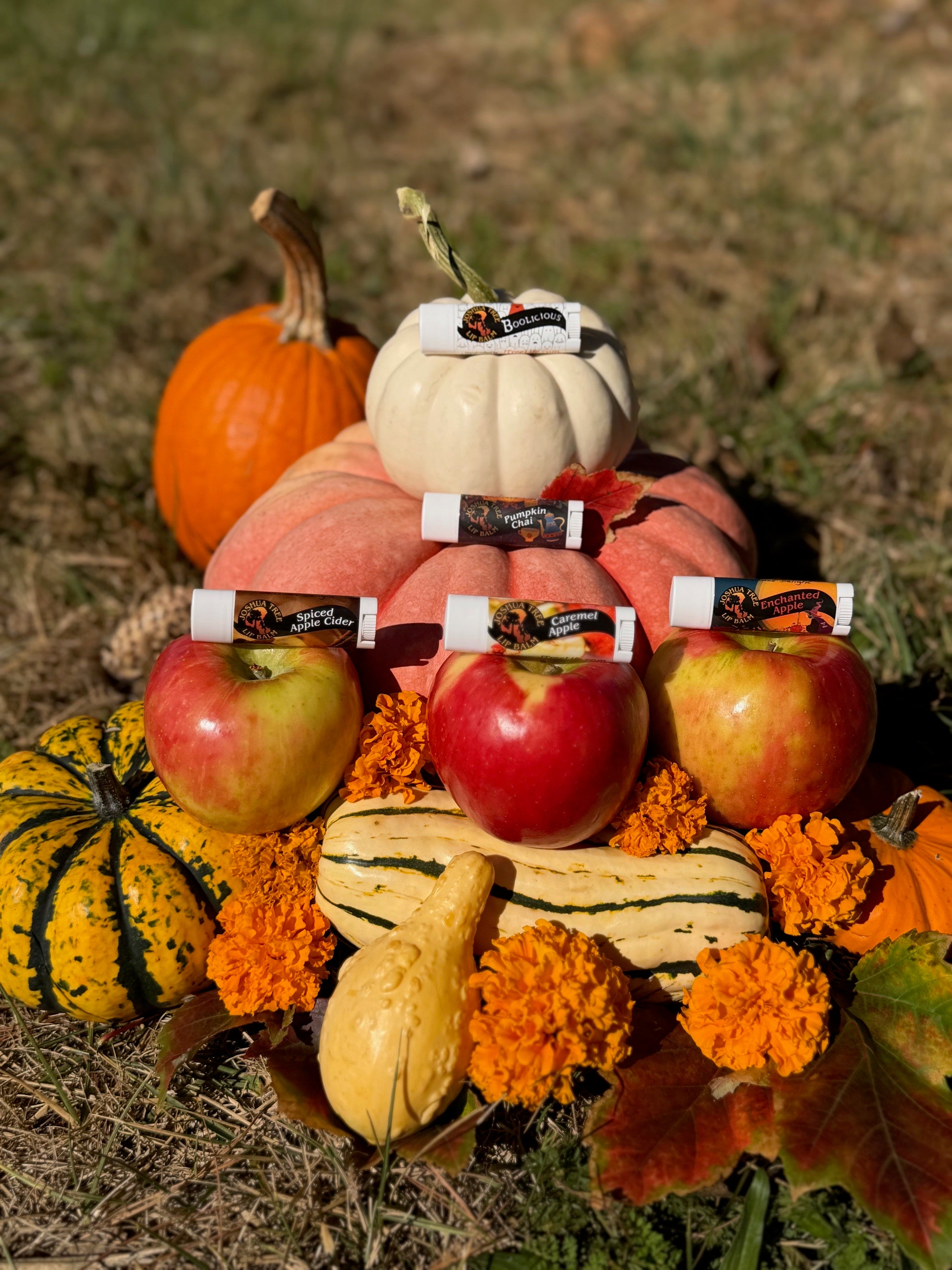 Autumn Season Lip Balm 5 Packs- Limited Offering!