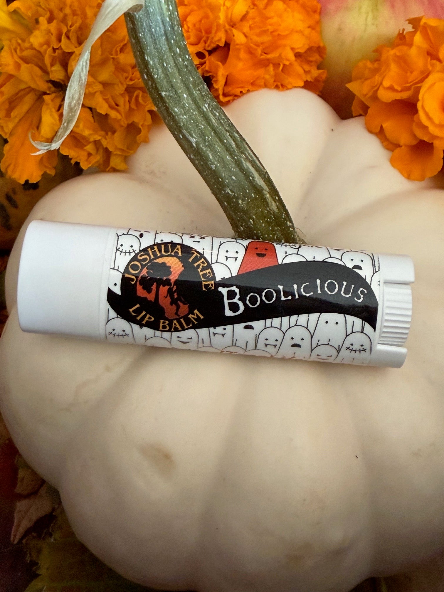 Autumn Season Lip Balm 5 Packs- Limited Offering!