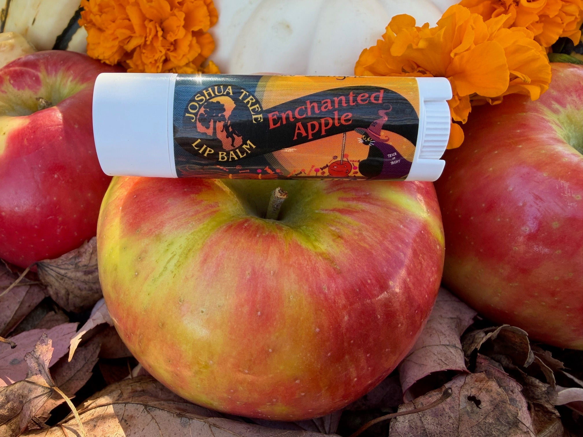 Autumn Season Lip Balm 5 Packs- Limited Offering!
