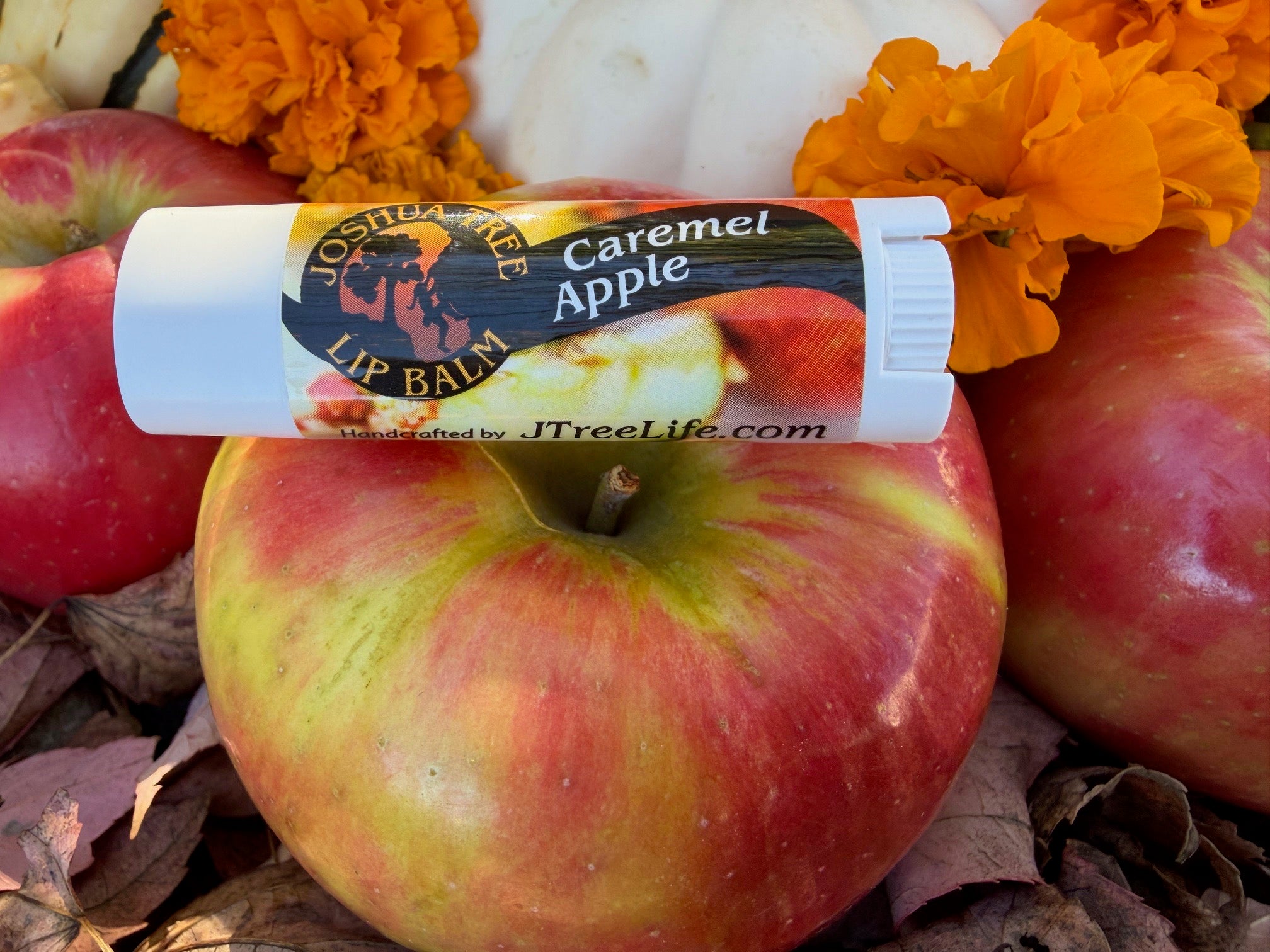 Autumn Season Lip Balm 5 Packs- Limited Offering!