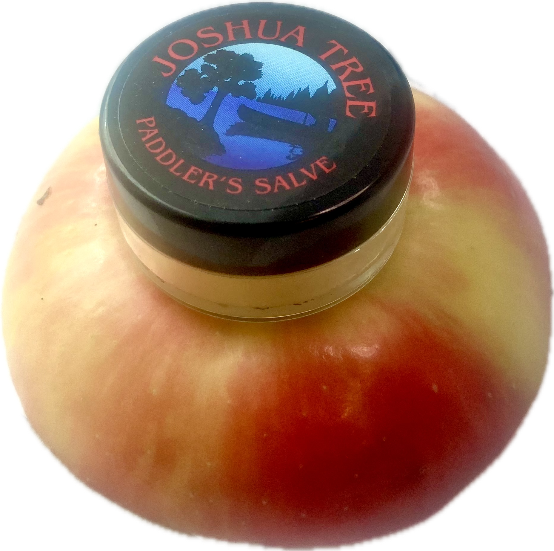 mini jar of Joshua Tree paddlers salve for chaffing and skin irritations
